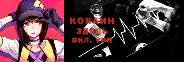 стаф Нея