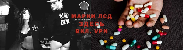 стаф Нея