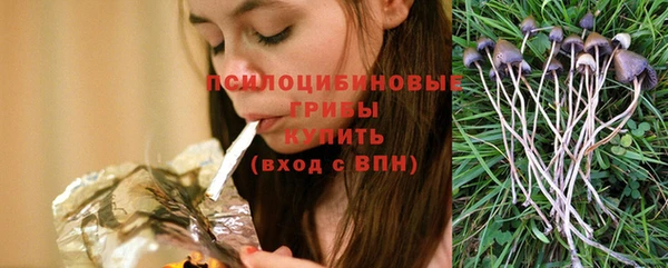 дурь Наволоки