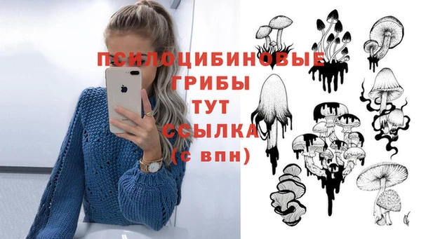 дурь Наволоки