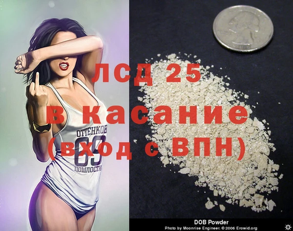 стаф Нея