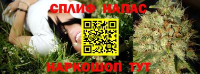 амф Новозыбков