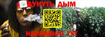 амф Новозыбков