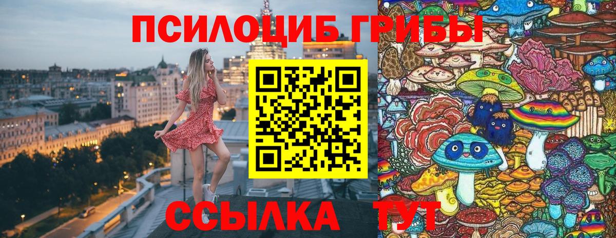 Псилоцибиновые грибы ЛСД Торжок