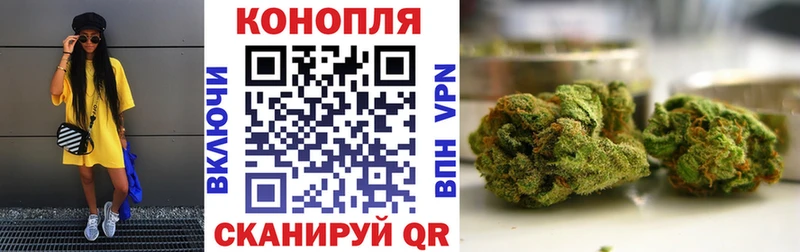 купить   Торжок  Бошки Шишки тримм 